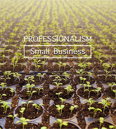 Importance of professionalism for small business