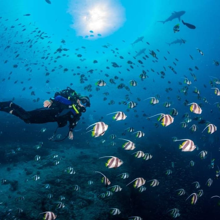 Six Best Scuba Diving Tips Every Beginners Must Know