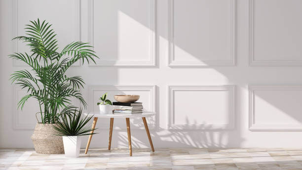 indoor plants for stylish home