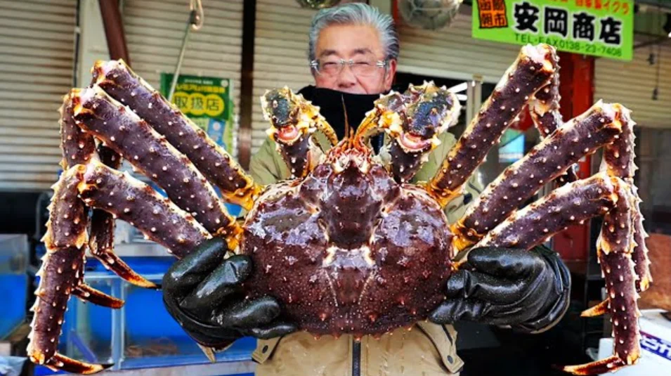 fresh crab and seafood from hokkaido