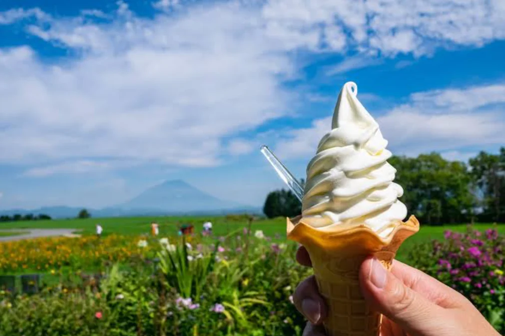 hokkaido dairy products and desserts